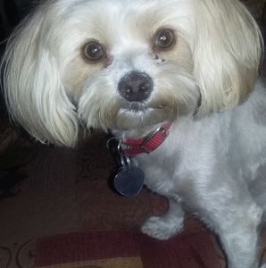 Meet your Posher, Raul